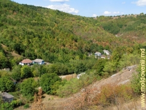 Часть села в ущелье вдоль ручья Косарэу