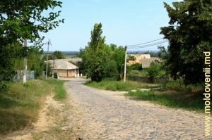 Drum pavat prin satul Corcmaz, Ştefan Vodă
