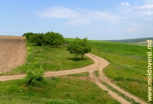 Răscruce de drumuri în raionul Rezina