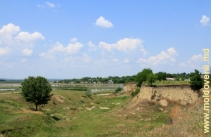 Lunca Prutului din raionul Glodeni, iunie