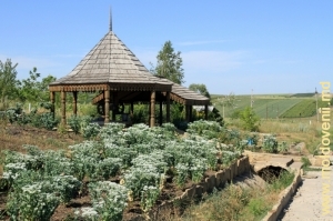 Popas turistic ‒ fîntînă cu acoperiş şi pavilioane sculptate în lemn, raionul Răşcani