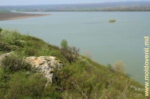 Revărsarea de primăvară a apelor Prutului din apropierea satului Corpaci, Edineţ, aprilie 2013