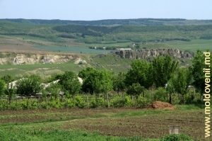 «Большая скала» у села Кобань, Глодень 