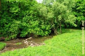 Rîul Vilia, marginea satului Teţcani, mai 2015