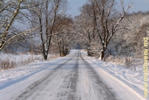 Drumul din apropierea satului Bahmut, Călăraşi – iarna
