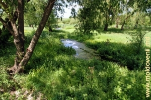 Apele izvoarelor, care se varsă în rîul Cubolta din satul Plop