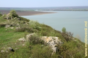 Revărsarea de primăvară a apelor Prutului din apropierea satului Corpaci, Edineţ, aprilie 2013
