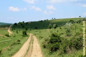 Drumurile de lîngă satul Oneşti, Străşeni