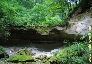 Cascada secată din pădure lîngă mănăstirea Rudi, Soroca