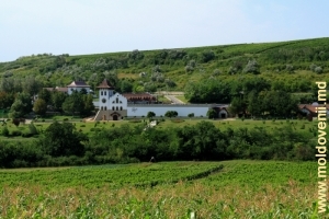 Vedere spre Fabrica de Vinuri din partea satului, plan îndepărtat
