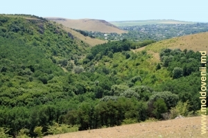 Marginea rezervaţiei, vedere spre satul Feteşti şi şirul de toltre