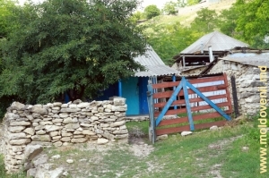 Case vechi, partea de jos a satului Domulgeni 
