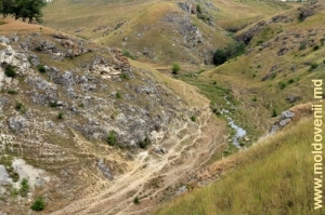 Ущелье в толтрах у села Варатик