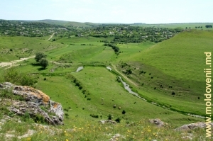 Вид на село Брынзены и долину Раковца с вершины ущелья
