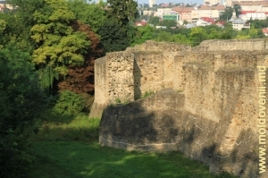 Cetatea Suceava