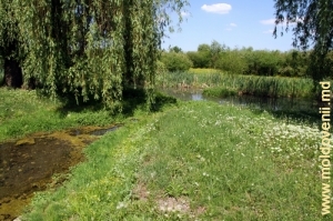 Apele izvoarelor, care se varsă în rîul Cubolta din satul Plop