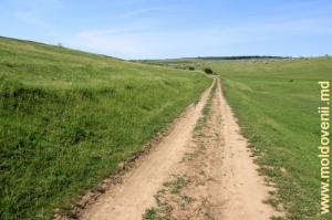 Drum prin cîmpii în apropiere de satul Rediul de Sus, Făleşti