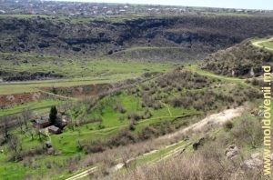 Valea rîului Ciorna de lîngă satul Ciorna, Rezina