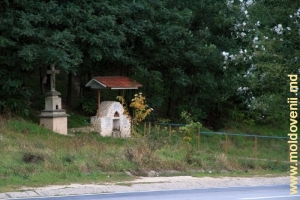 Un izvor lîngă drum, raionul Călărași