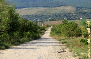 Дорога к селу Леушень, Теленешть