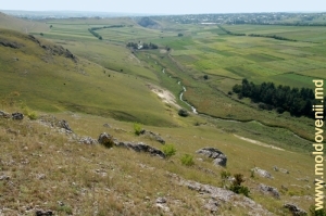 Долина реки Лопатник с левого склона ущелья Борта Чунтулуй в направлении села Коржеуць