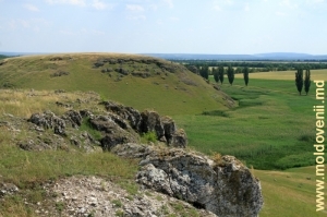 Вид на долину с вершины толтровой гряды 