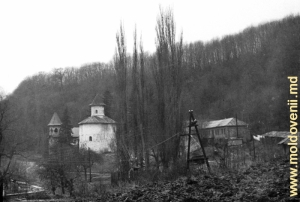 Vedere spre mănăstirea Rudi anii 70 ai secolului XX.
