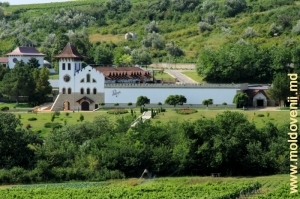 Vedere spre Fabrica de Vinuri Purcari din partea satului