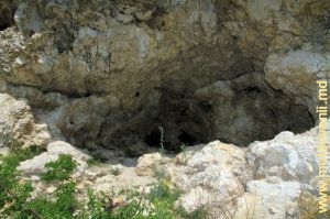 Вход в Брынзенскую пещеру