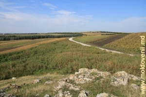 Дорога через поля в районе Бричень 