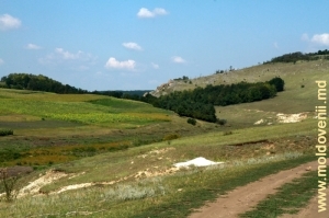 Вид на урочище Борта Чунтулуй с дороги вдоль реки Лопатник