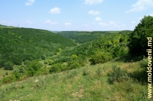 Planul general al defileului lîngă satul Tătărăuca Veche