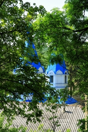 Vedere spre mănăstirea Ţigăneşti din partea pădurii.