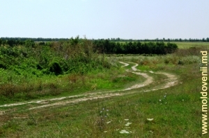 Drumul din apropierea Prutului în raionul Ştefan Vodă