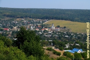 Vedere spre satul şi Mănăstirea Căpriana vara