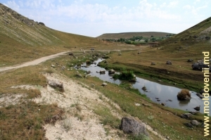 Vedere din defileu spre satul Druţa