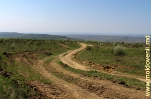 Дорога на вершине Баланештской горы, Ниспорень