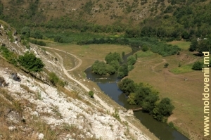 Склон скального массива, Реут и его долина на окраине села Требужень