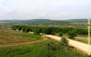Drumul spre satul Bahmut, Călăraşi