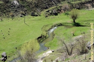 Valea rîului Ciorna lîngă satul Glinjeni, Rezina, aprilie 2013