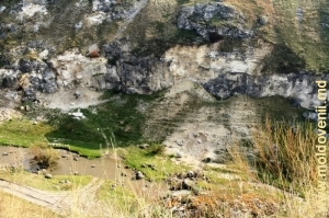 Ущелье Тринка в долине реки Драгиште в разное время года