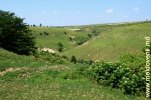 Partea de sus a defileului rezervaţie de lîngă satul Tătărăuca Veche