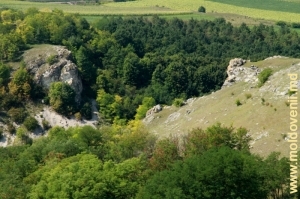 Вид ущелья в урочище Борта Чунтулуй с левого склона