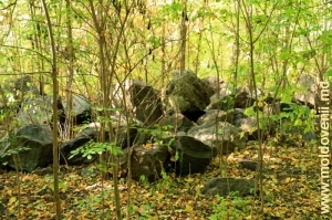 Lespezile de granit din parcul Vila Mîndîc