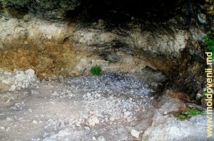 У главного входа в пещеру