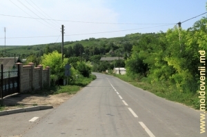Drumul prin satul Purcari, Ştefan Vodă