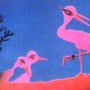 Desen animat "Pui de cocostîrc", 1971