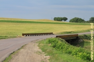 Drumul şi podul spre raionul Anenii Noi