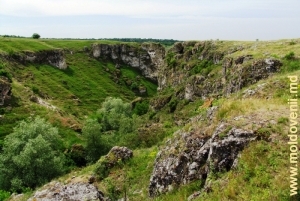 Ущелье у села Дуруитоаря