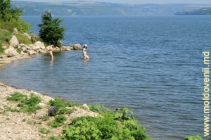 Scăldatul de vară în lacul de acumulare Dubăsari